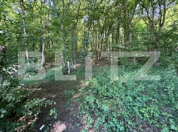 Casa de închiriat 4 camere Floreşti - 153425CI | BLITZ Cluj-Napoca | Poza23