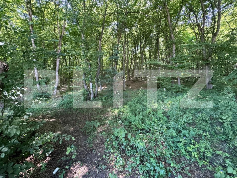 Casa de închiriat 4 camere Floreşti - 153425CI | BLITZ Cluj-Napoca | Poza23