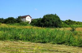 Teren extravilan, 447 mp, zona Lombului