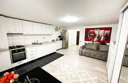 Apartament cu 1 camera, 35mp, terasa, parcare, zona Buna ziua