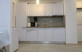 Studio spatios, confort lux, cu boxa la subsol, in Tractorul