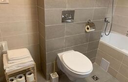 Studio spatios, confort lux, cu boxa la subsol, in Tractorul