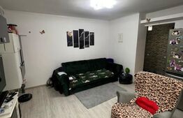 Apartament 2 camere, mobilat si utilat, parcare exterioara, zona Regal 