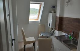 Apartament 2 camere incalzire in pardoseala,Valea Garbaului