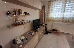 Studio pretabil regim hotelier, 30mp, Centrul Civic