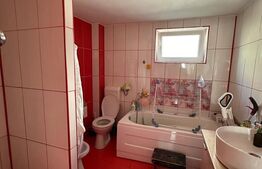 Două apartamente la casă, teren 250 mp, grădină, garaj, parcare proprie