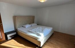 Două apartamente la casă, teren 250 mp, grădină, garaj, parcare proprie