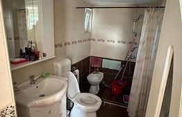 Două apartamente la casă, teren 250 mp, grădină, garaj, parcare proprie