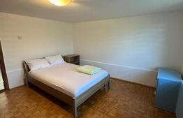 Două apartamente la casă, teren 250 mp, grădină, garaj, parcare proprie
