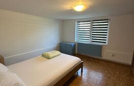 Două apartamente la casă, teren 250 mp, grădină, garaj, parcare proprie