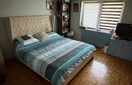 Apartament 3 camere la casa cu gradina si curte generoasa 