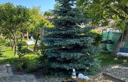 Două apartamente la casă, teren 250 mp, grădină, garaj, parcare proprie