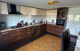 Două apartamente la casă, teren 250 mp, grădină, garaj, parcare proprie
