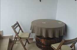 Apartament cu 1 camera, 70 mp, parcare, terasa 47 mp, zona strazii Jupiter