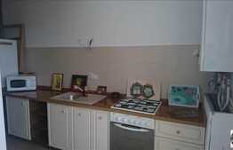 Apartament cu 1 camera, 70 mp, parcare, terasa 47 mp, zona strazii Jupiter