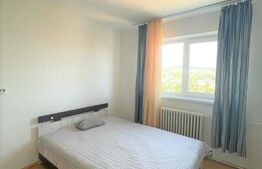 Garsoniera, 22mp, recent renovata, zona strazii Migdalului