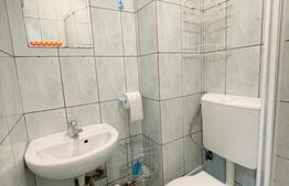 Garsoniera, 22mp, recent renovata, zona strazii Migdalului