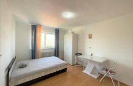 Garsoniera, 22mp, recent renovata, zona strazii Migdalului