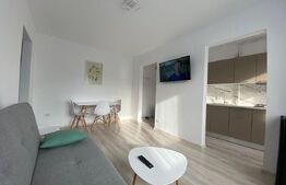 Apartament 2 camere, complet renovat in Florilor