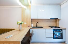 Apartrament 2 cam, 53.70 mp, terasa 30 mp, ultrafinisat, zona Avram Iancu