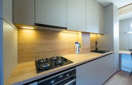 Apartrament 2 cam, 52,40 mp, terasa 30 mp, ultrafinisat, zona Avram Iancu