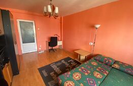 Apartament 2 camere, decomandat, 45 mp, zona strazii Tulcea, Pet-Friendly