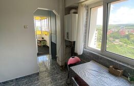 Apartament 2 camere, decomandat, 45 mp, zona strazii Tulcea, Pet-Friendly