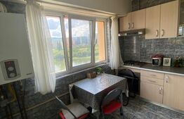 Apartament 2 camere, decomandat, 45 mp, zona strazii Tulcea, Pet-Friendly