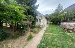 Casa renovabila, 729 mp teren, front 22 m, zona Plevnei
