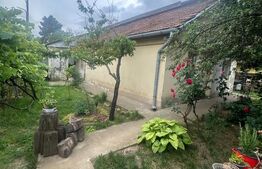 Casa renovabila, 729 mp teren, front 22 m, zona Plevnei