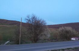 Teren intravilan 1200 mp in SALICEA