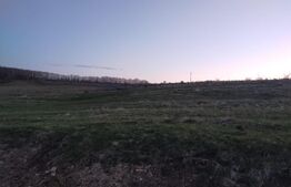 Teren intravilan 1200 mp in SALICEA