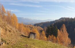 Oportunitate! Casa de 212 mp, D+P+M, 2.400 mp teren intravilan, Magura