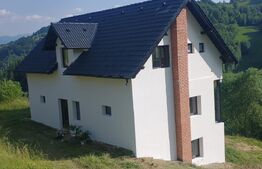 Oportunitate! Casa de 212 mp, D+P+M, 2.400 mp teren intravilan, Magura