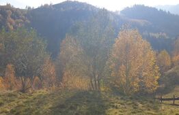 Oportunitate! Casa de 212 mp, D+P+M, 2.400 mp teren intravilan, Magura