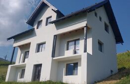 Oportunitate! Casa de 212 mp, D+P+M, 2.400 mp teren intravilan, Magura