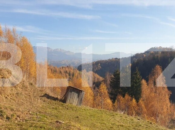 Casa de vânzare 7 camere Magura - 154010CV | BLITZ Brașov | Poza8