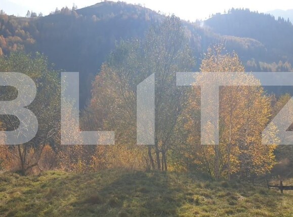 Casa de vânzare 7 camere Magura - 154010CV | BLITZ Brașov | Poza7