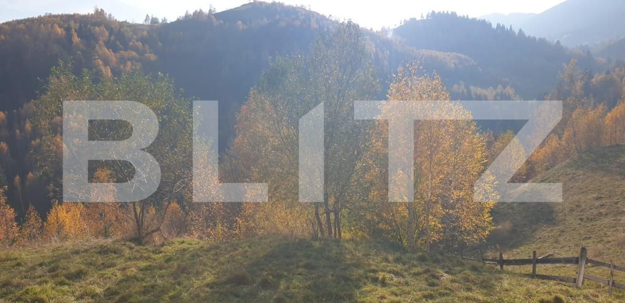 Casa de vânzare 7 camere Magura - 154010CV | BLITZ Brașov | Poza7