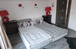 Casa superba Tohanul Nou, 350mp