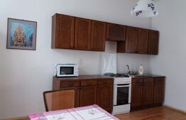 Casa alipita, curte comuna, Andrei Muresanu