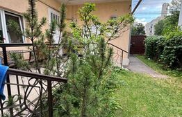 Casa alipita, curte comuna, Andrei Muresanu