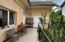 Casa alipita, curte comuna, Andrei Muresanu