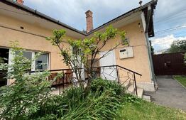 Casa alipita, curte comuna, Andrei Muresanu