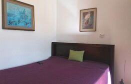 Casa alipita, curte comuna, Andrei Muresanu