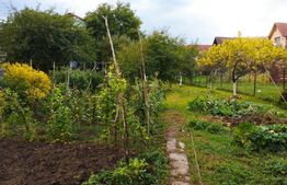 Teren 700 mp construibil imediat, pentru casa individuala sau duplex, Dambul Rotund, zona Corneliu Coposu