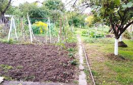 Teren 700 mp construibil imediat, pentru casa individuala sau duplex, Dambul Rotund, zona Corneliu Coposu