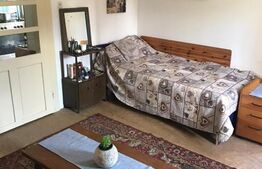 Casa 60 mp utili, teren 750 mp, zona Corneliu Coposu