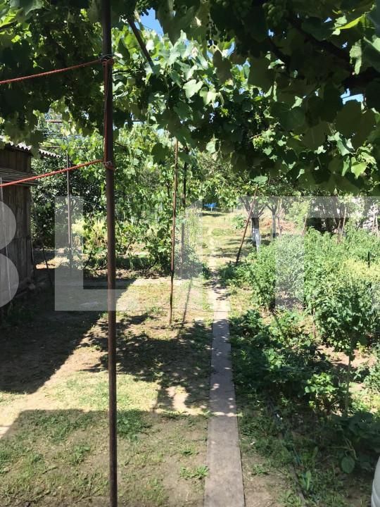 Casa de vânzare 2 camere Dambul Rotund - 154069CV | BLITZ Cluj-Napoca | Poza2