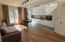 Apartament 2 camere, impecabil,Tractorul.